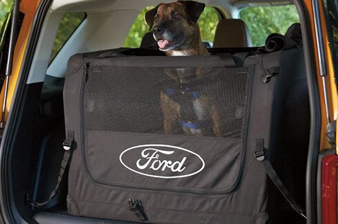 Discover Ford Bronco Accessories in PR - Pet Kennel